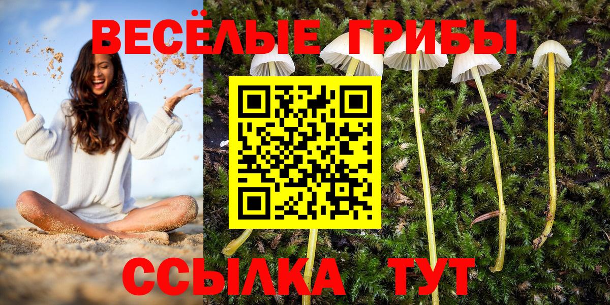 Псилоцибиновые грибы Cubensis  Вход с VPN  Кемерово  Галлюциногенные грибы Psilocybe 